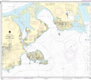 thumbnail for chart Morzhovoi Bay and Isanotski Strait